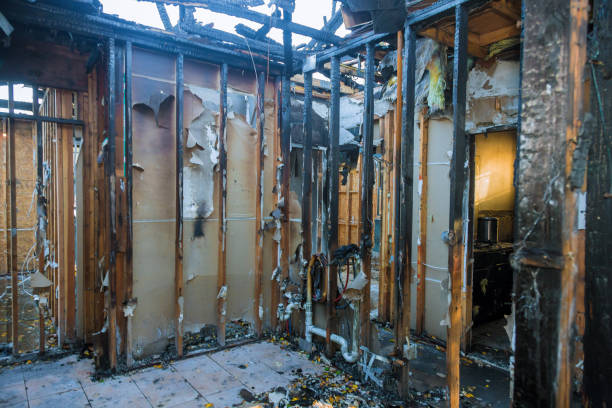 Professional Structural Rebuild technician working in Brookeville, MD